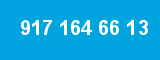 917 164 66 13